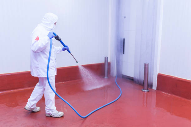 Playground Equipment Cleaning in Pullman, WA